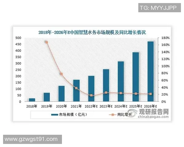 南京排球队在钻石联赛中的实力展现与未来发展潜力分析